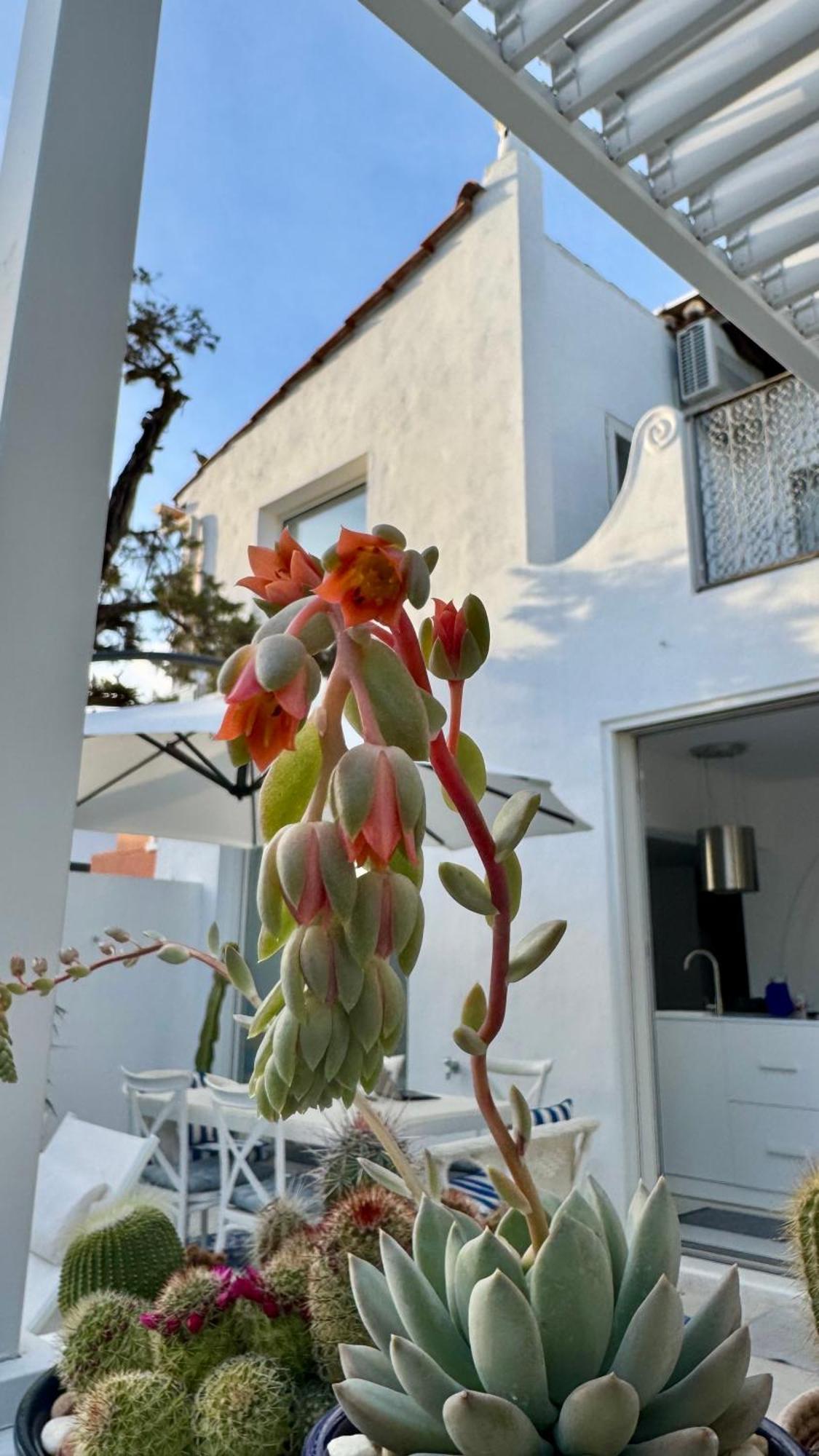 Casa Blu Marbella Exterior foto